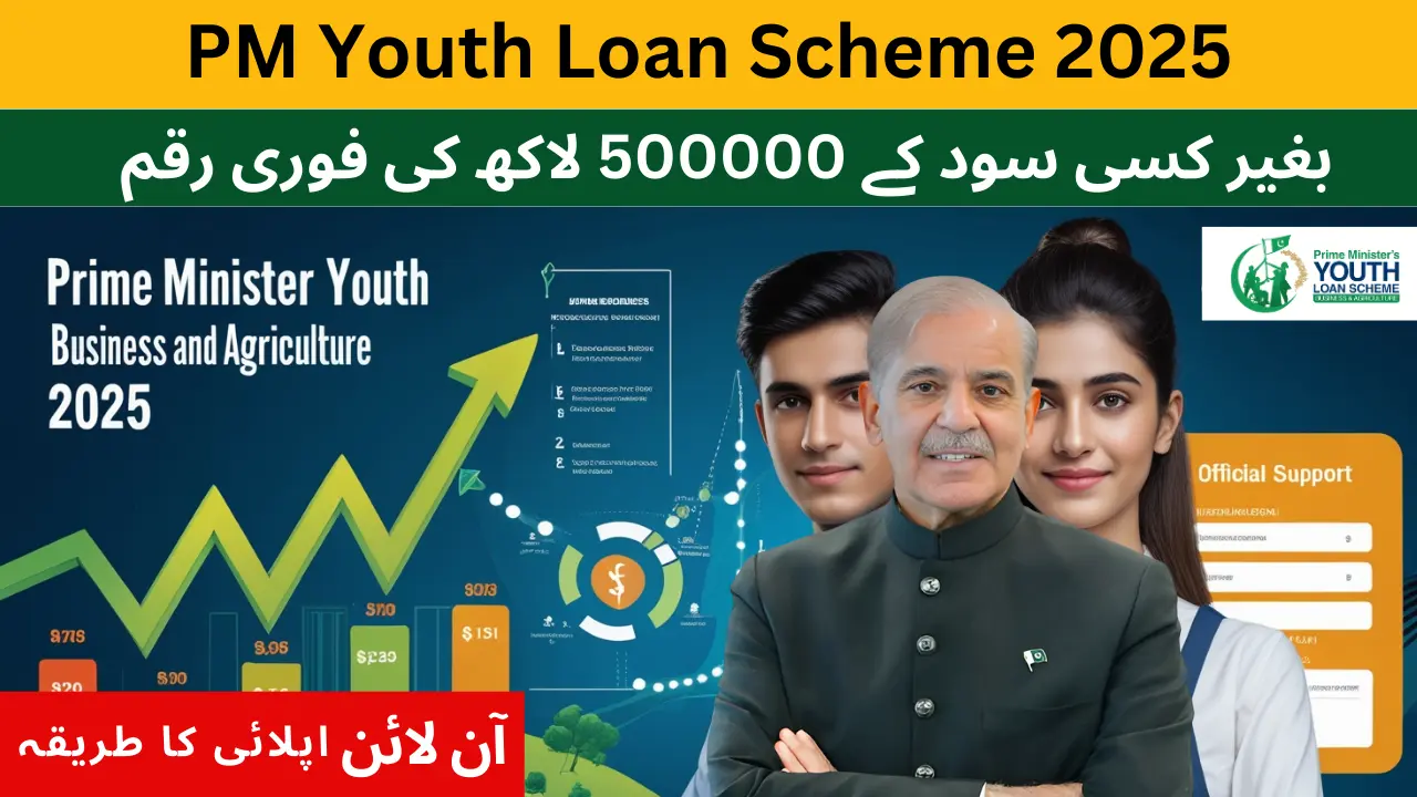 Prime Minister Youth Business and Agriculture Loan Scheme 2025: Complete Online Application Guide