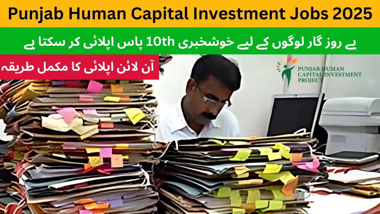 Punjab Human Capital Investment Jobs 2025: How to Apply Online